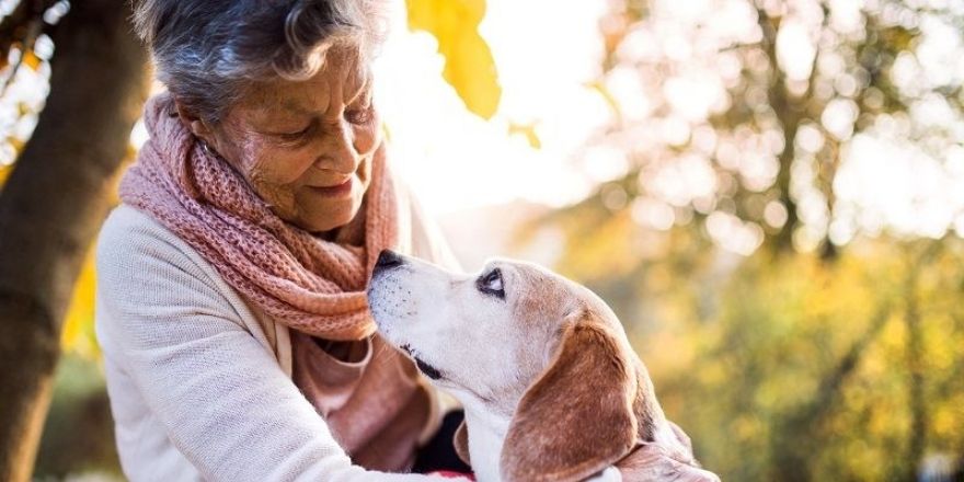 La Zoothérapie : un bien-être pour les personnes âgées